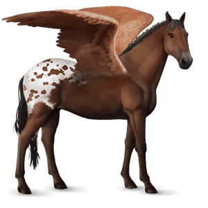 pegasus-reitpferd rotbrauner