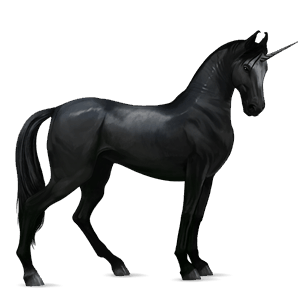 einhorn-reitpferd dunkelbrauner