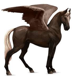 pegasus-reitpferd rappe