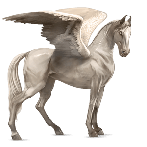 pegasus-reitpferd friese rappe
