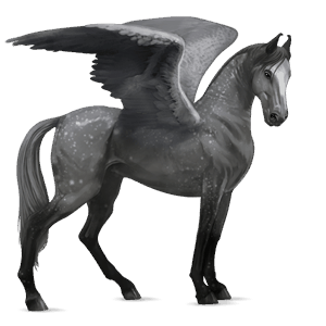 pegasus-reitpferd argentinischer criollo palomino