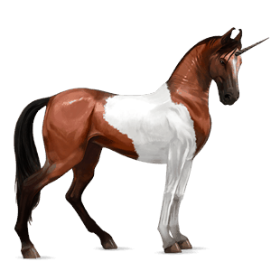 einhorn-reitpferd marwari rotbrauner mit tobiano-scheckung