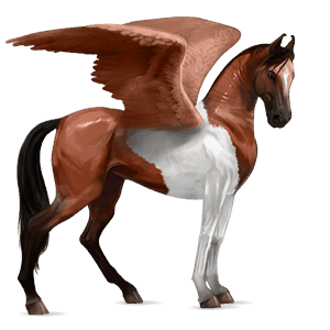 pegasus-reitpferd brauner