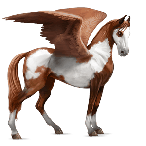 pegasus-reitpferd argentinischer criollo brauner