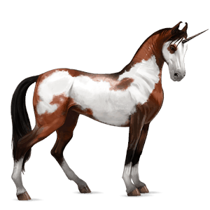 einhorn-reitpferd englisches vollblut rappe