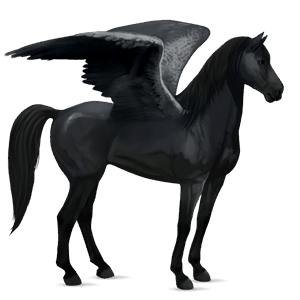 pegasus-reitpferd mustang rappe