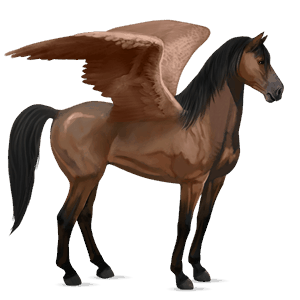 pegasus-reitpferd brauner