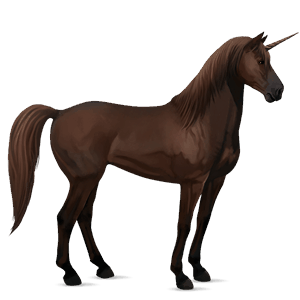 einhorn-reitpferd isländer dunkelfuchs