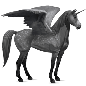 geflügeltes einhorn-reitpferd deutsches reitpferd rappe
