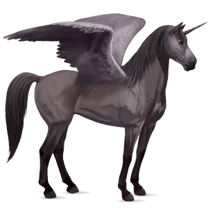geflügeltes einhorn-reitpferd deutsches reitpferd rappe