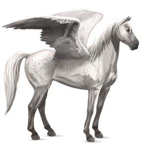 pegasus-reitpferd knabstrupper brauner leopard