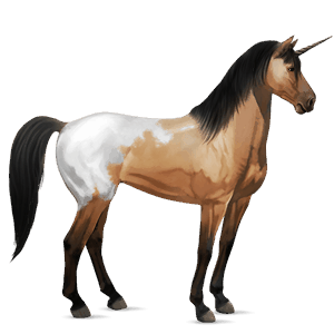 einhorn-reitpferd schabrackenfuchs