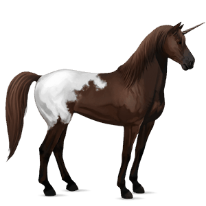 einhorn-reitpferd deutsches reitpferd apfelschimmel