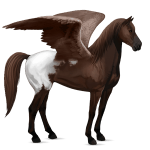 pegasus-reitpferd englisches vollblut palomino