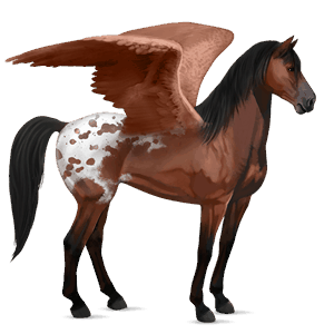 pegasus-reitpferd mustang brauner