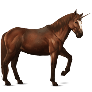einhorn-reitpferd isländer fuchs