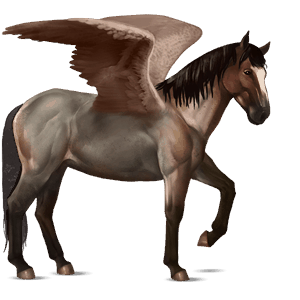 pegasus-reitpferd nokota roan