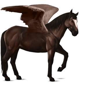 pegasus-reitpferd nokota dunkelbrauner