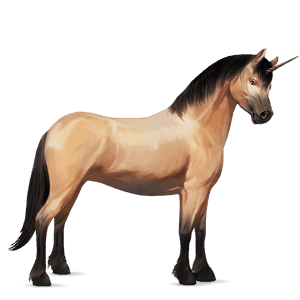 einhorn-pony shetlandpony falbe
