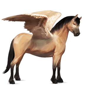 pegasus-pony connemara-pony brauner