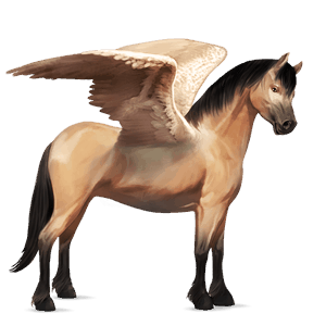 pegasus-pony quarter pony fuchs