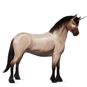einhorn-pony haflinger fuchs mit heller mähne