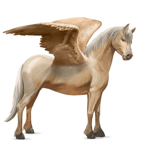 pegasus-pony connemara-pony cremello
