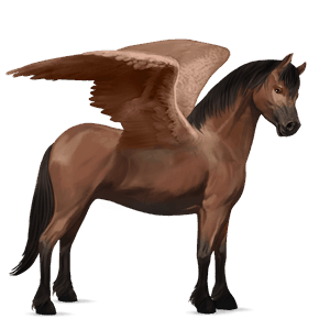 pegasus-pony shetlandpony brauner