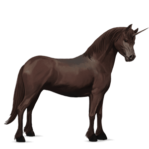 einhorn-pony neufundland pony dunkelbrauner