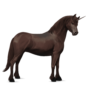 einhorn-pony dunkelfuchs