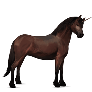 einhorn-pony dunkelbrauner
