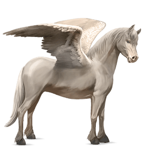 pegasus-pony kerry bog mausgrau