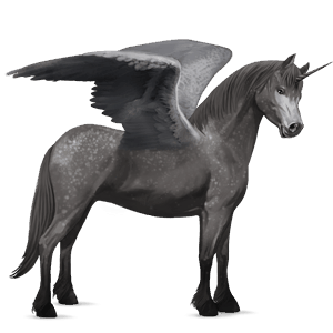 geflügeltes einhorn-pony deutsches reitpony apfelschimmel