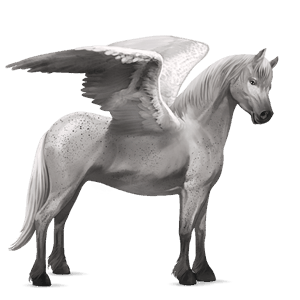 pegasus-pony forellenschimmel