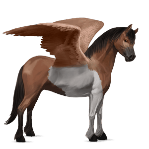 pegasus-pony new-forest-pony fuchs mit heller mähne