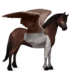 pegasus-pony dunkelfuchs