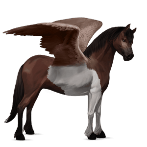 pegasus-pony shetlandpony dunkelfuchs