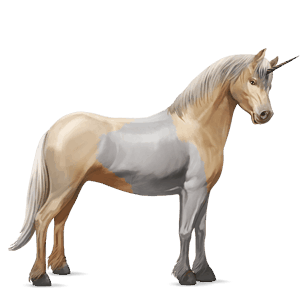einhorn-pony highlandpony roan