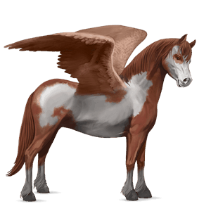 pegasus-pony haflinger dunkelfuchs mit heller mähne