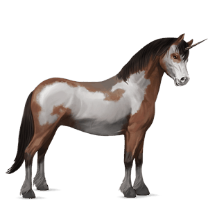 einhorn-pony dunkelfuchs