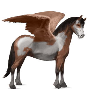 pegasus-pony new-forest-pony brauner