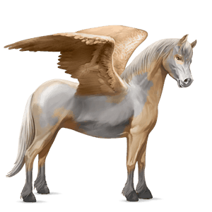 pegasus-pony quarter pony palomino mit overo-scheckung