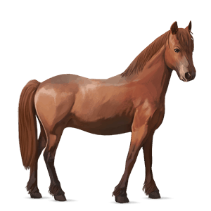 pony fuchs