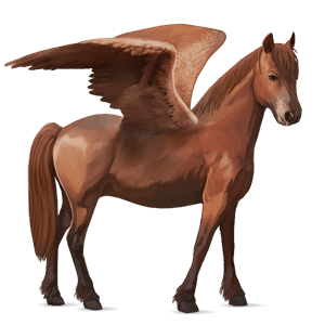 pegasus-reitpferd isländer fuchs