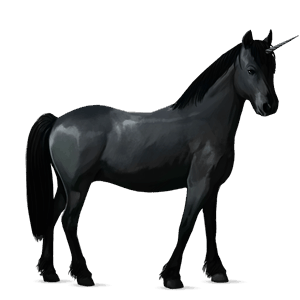 einhorn-pony kerry bog rappe