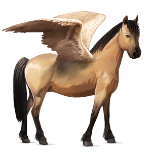 pegasus-pony belgisches reitpony falbe