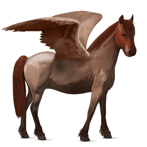 pegasus-pony quarter pony dunkelfuchs mit heller mähne