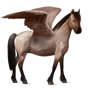 pegasus-pony welsh cob roan