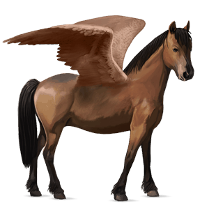 pegasus-pony deutsches reitpony brauner
