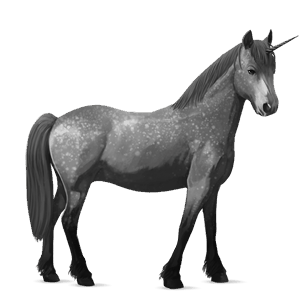 einhorn-pony highlandpony apfelschimmel
